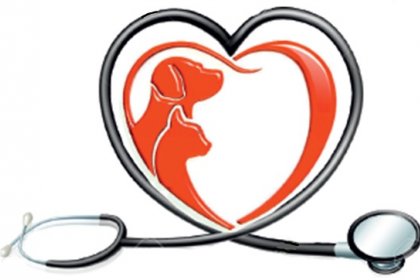 Servei de prevenció de riscos en el sector veterinari - clínica veterinària